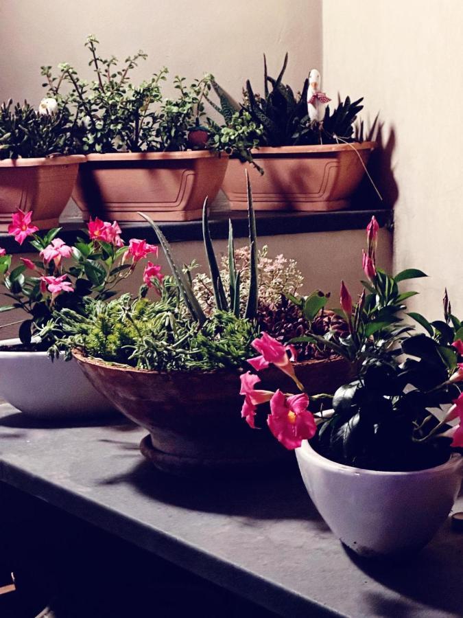 فوجيا Borgo Antico B&B المظهر الخارجي الصورة